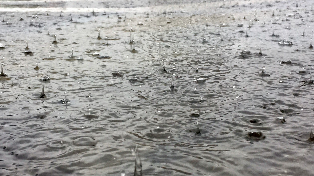 GETTYRF 72622 RainPuddle