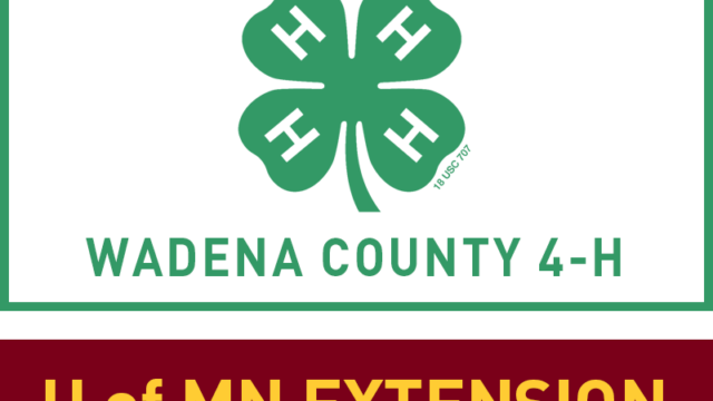 Wad co 4h