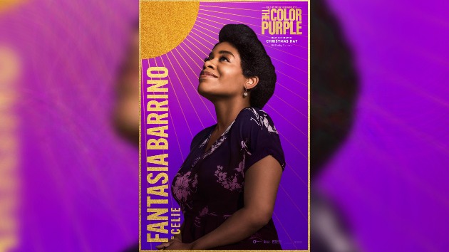 E Fantasiabarrino Colorpurple 121923