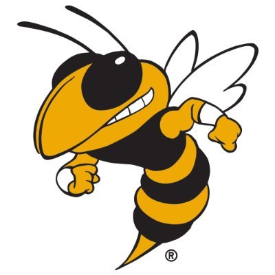 Perham Yellowjacket