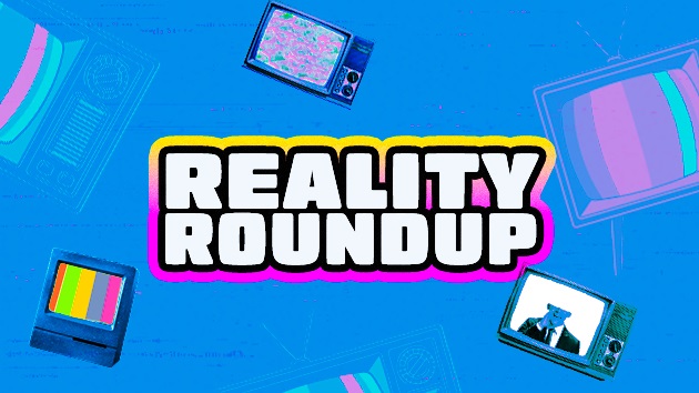 E Reality Roundup Graphic 1