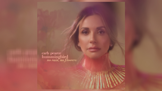 M Carlypeacehummingbirddeluxe 1
