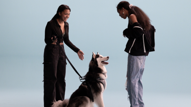 E Pets 041625