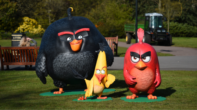 Getty Angrybirds 040825