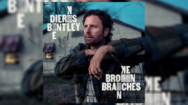 M Dierksbentleybrokenbranches