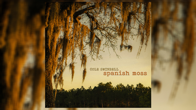 M coleswindellspanishmosswarner