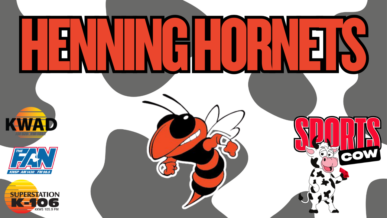 Henning hornets
