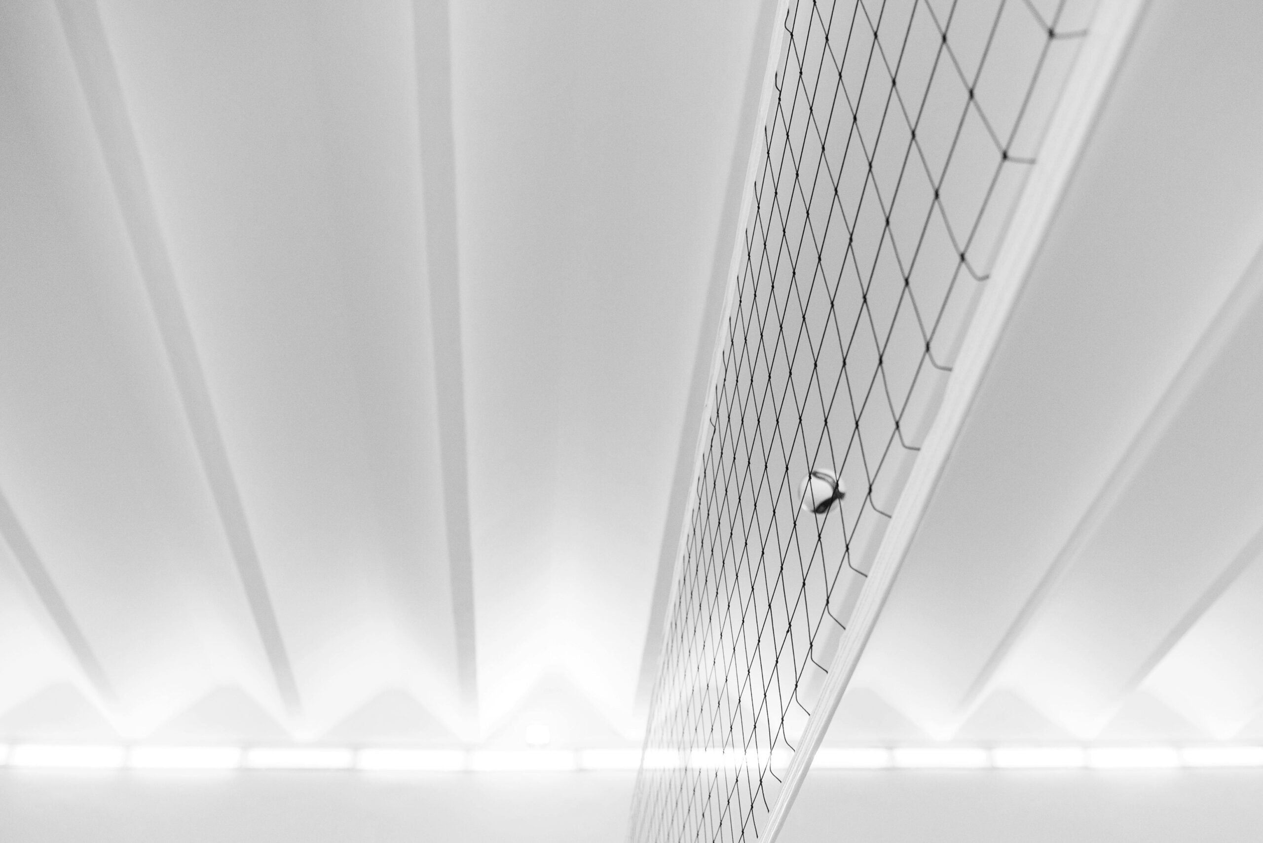 Pexels pavel danilyuk 6203502