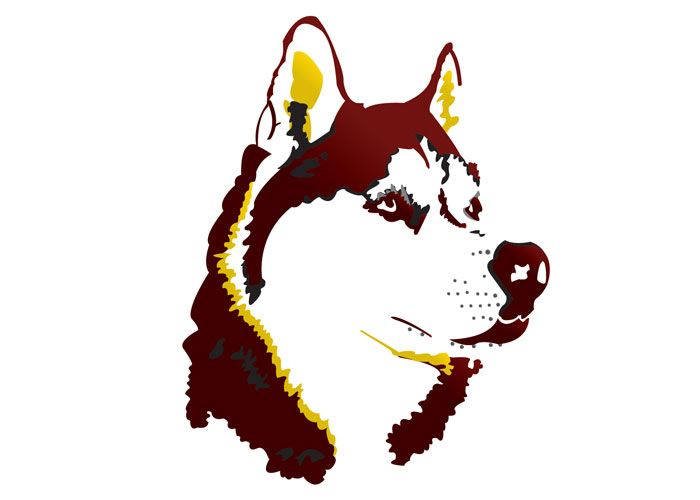 Pillagerhuskies