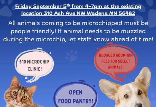 Wchs community event