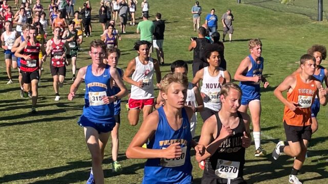 Wdc roy griak