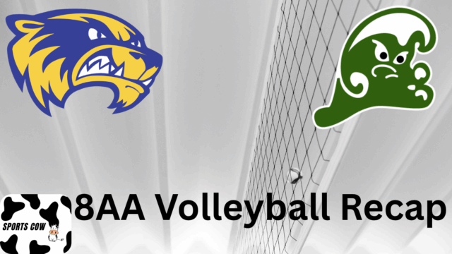 Volleyball recap