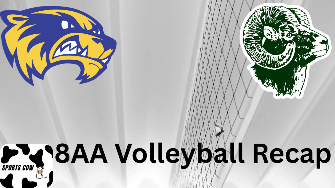 Volleyball recap
