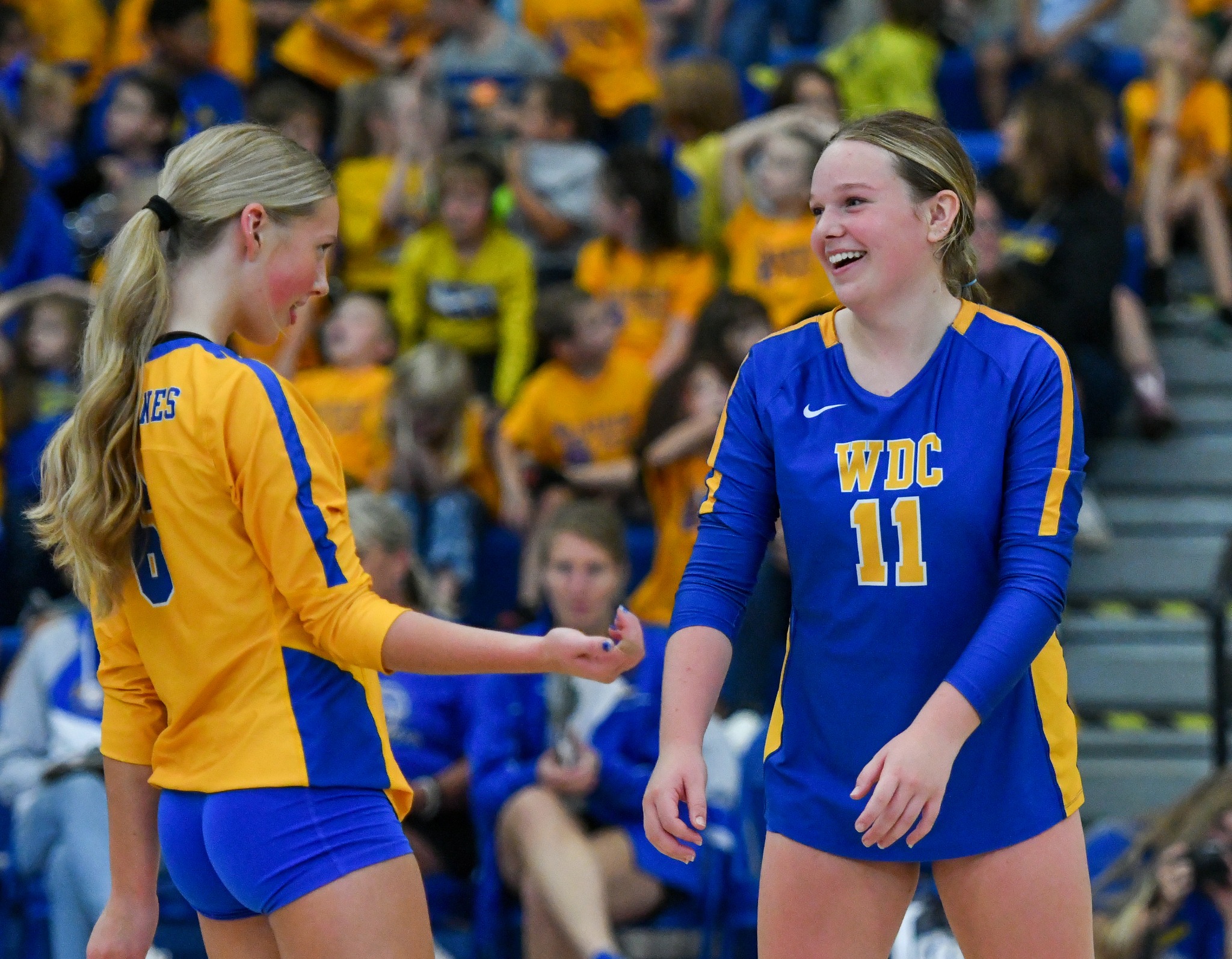 Wdc volleyball