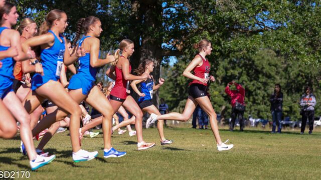 Audrey brownell staples