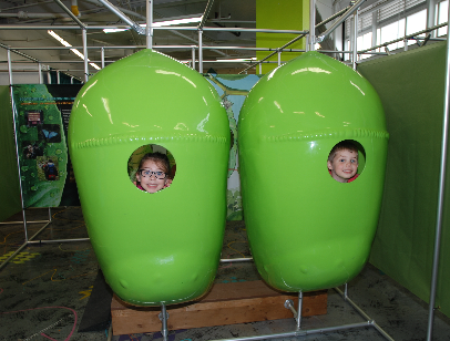 Becker county museum butterfly odyssey