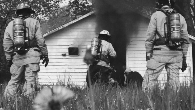 Pexels walter leininger 1641412 16931859