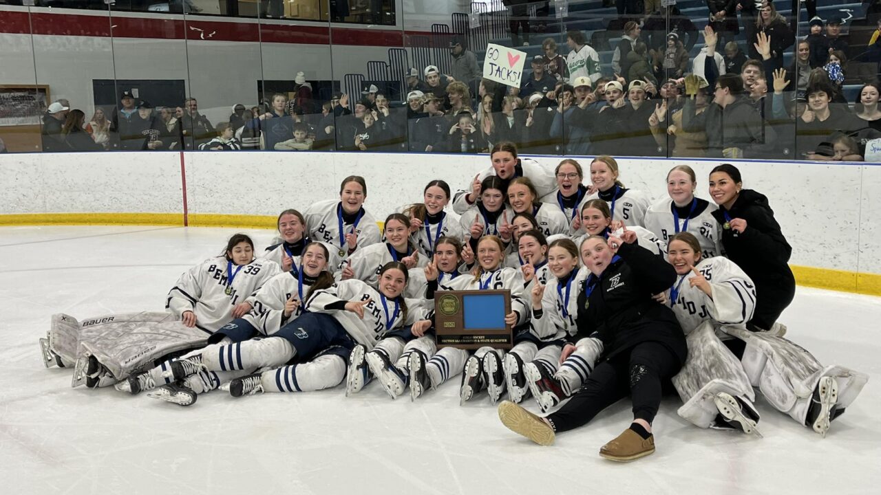Bemidji girls hockey section champs 2026