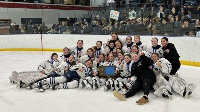 Bemidji girls hockey section champs 2026