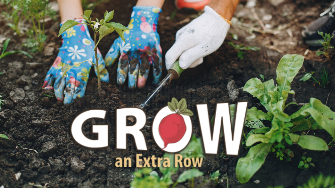 Grow an Extra Row graphic