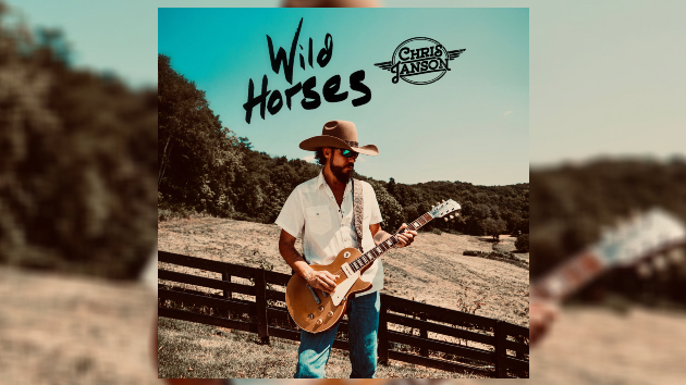 M ChrisJansonWildHorses